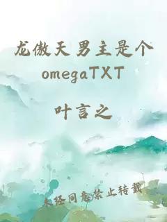 龙傲天男主是个omegaTXT