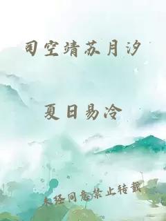 司空靖苏月汐