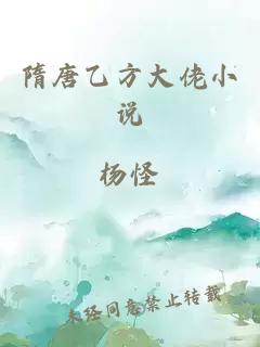 隋唐乙方大佬小说