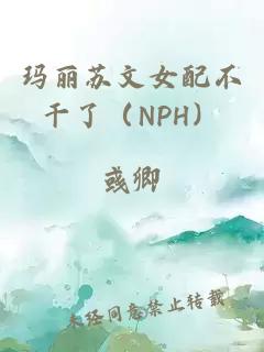 玛丽苏文女配不干了（NPH）