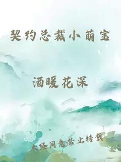 契约总裁小萌宝